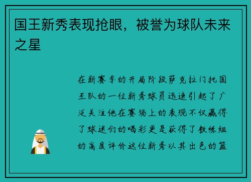 国王新秀表现抢眼，被誉为球队未来之星