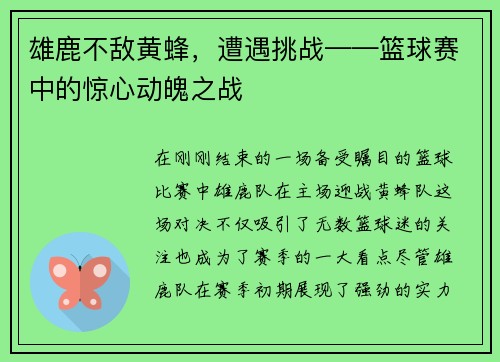 雄鹿不敌黄蜂，遭遇挑战——篮球赛中的惊心动魄之战